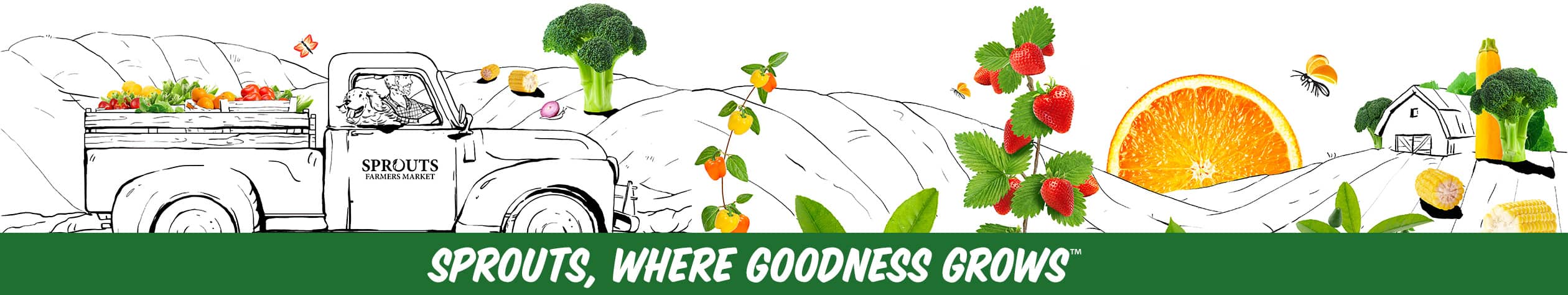 SPROUTS, WHERE GOODNESS GROWS